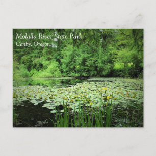 Molalla River State Park, Canby, Oregon Postcard Vykort