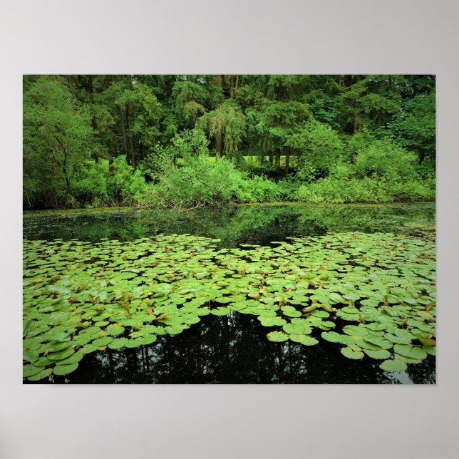 Molalla River State Park, Canby, Oregon Poster (Framsidan)