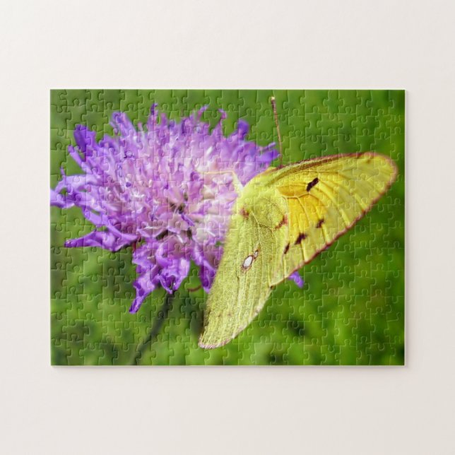 Mold Gult Butterfly Photo Puzzle och Gift Box Pussel (Horisontell)