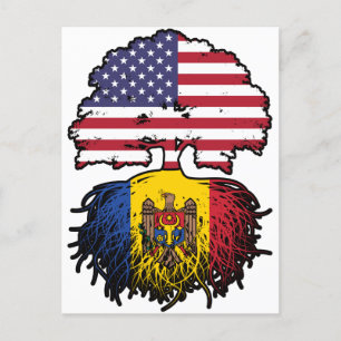 Moldava Moldavan American USA United Stater Flagga Vykort