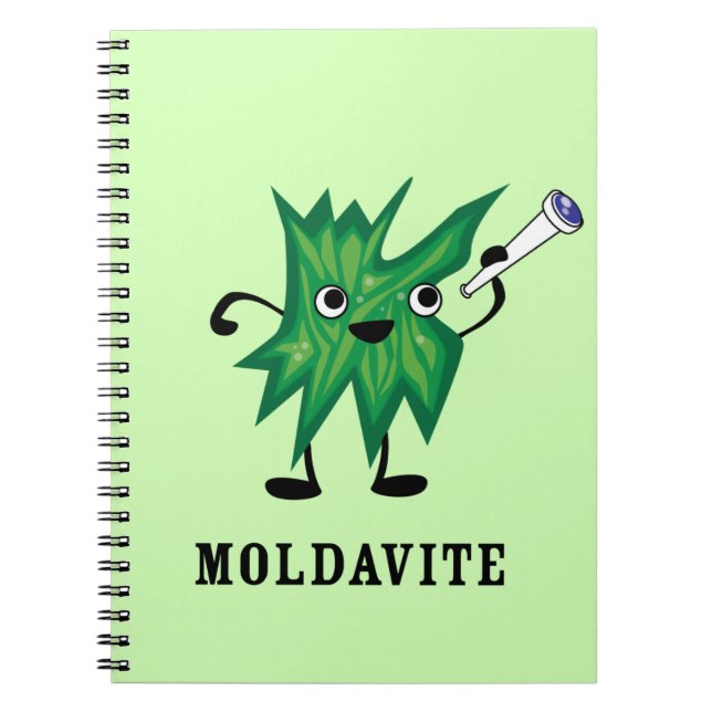 Moldavit Anteckningsbok (Framsidan)