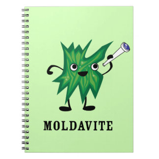 Moldavite Anteckningsbok
