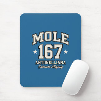 Mole Antonelliana - Sabauda Majesty Vintage Varsit Musmatta