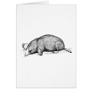 Mole Hälsningskort