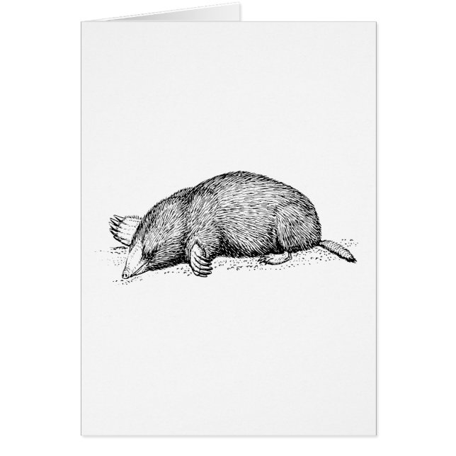 Mole Hälsningskort (Framsidan)