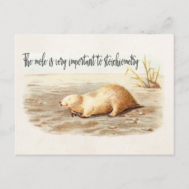 Mole Stoichiometry Chemistry Quote Science Humor Vykort (Framsida)