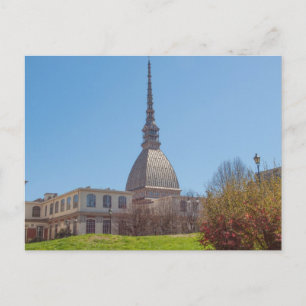Mole Torino Vykort