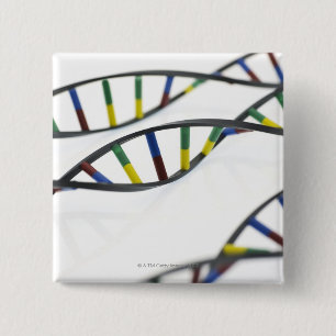 Molecules. för DNA (deoxyribonucleic syra) Knapp