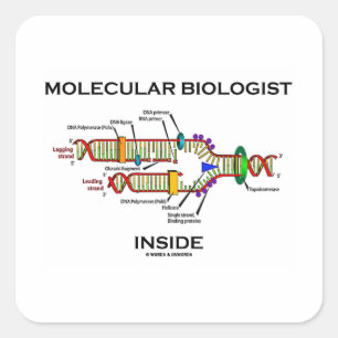 Molekylär biolog inuti (DNA-replikering) Fyrkantigt Klistermärke