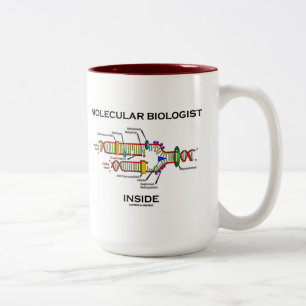 Molekylär biolog inuti (DNA-replikering) Två-Tonad Mugg