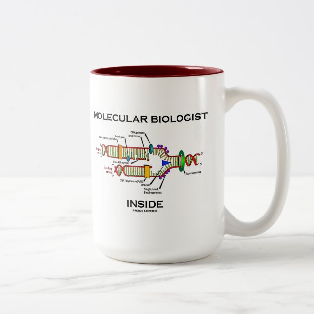 Molekylär biolog inuti (DNA-replikering) Två-Tonad Mugg (Höger)