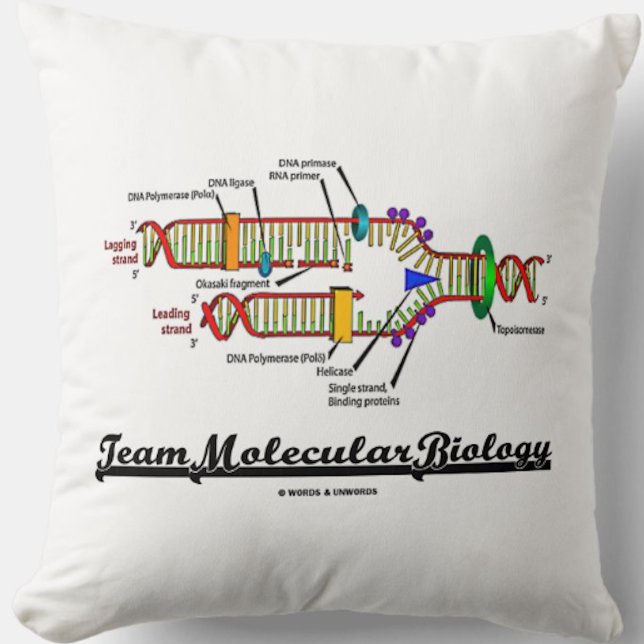 Molekylär biologi för lag (DNA-replicationen) Kudde (Team Molecular Biology throw pillow featuring DNA replication for any molecular biologist)