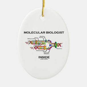 Molekylär biologinsida (DNA-replicationen) Julgransprydnad Keramik