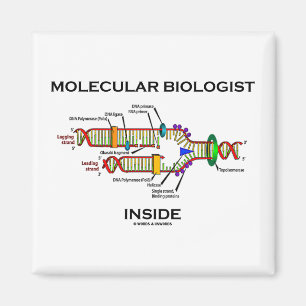 Molekylär biologinsida (DNA-replicationen) Magnet