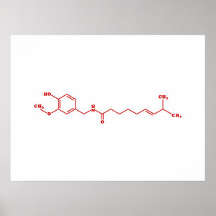 Molekylär kemisk formel för ChiliCapsaicin Poster
