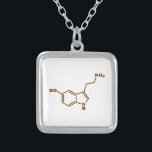Molekylär kemisk formel för Serotonin Silverpläterat Halsband<br><div class="desc">Sammansättning för kemisk Skeletal strukturell formel för Serotoninmolekyl~ organisk.

JordklotTrotters specialiserar i idiosyncratic bildspråk från runt om jordklotet. Här ska du unika hälsningkort för fynd,  vykort,  affischer,  Mousepads och mer.</div>