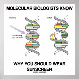 Molekylärbiologer vet varför du Bäror solskydd Poster
