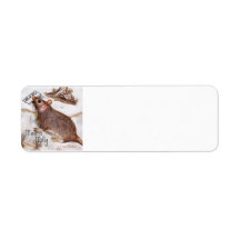 Molletikett för postlåda