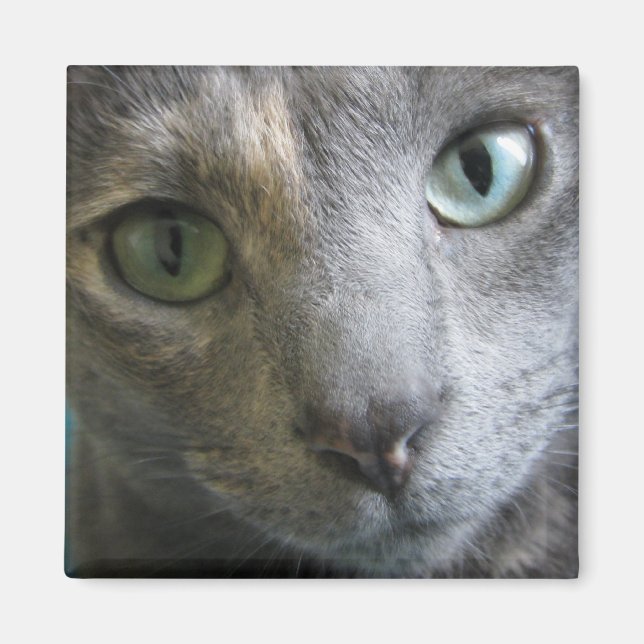 Mollie Magnet (Framsidan)