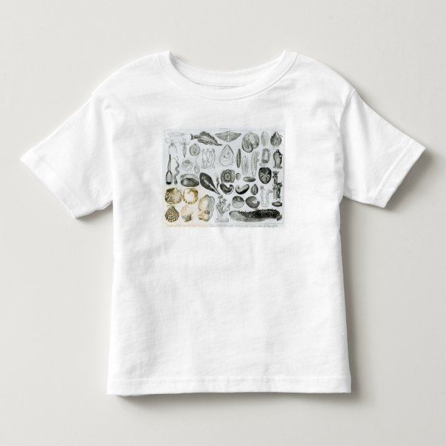 Molluscs T-shirt (Framsida)