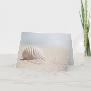 Mollusk Seashell Kort