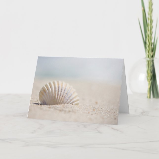 Mollusk Seashell Kort (Framsida)
