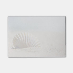 Mollusk Seashell Post-it Block