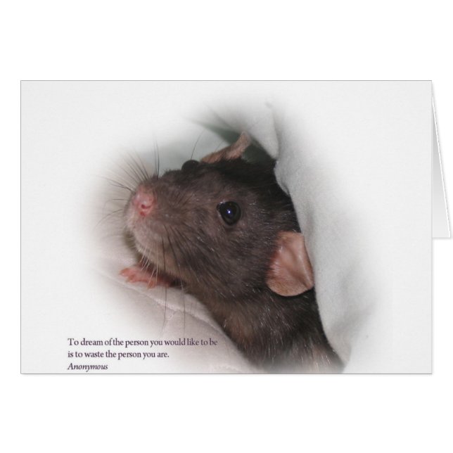 Molly1med att säga hälsningskort (Framsidan Horizontal)