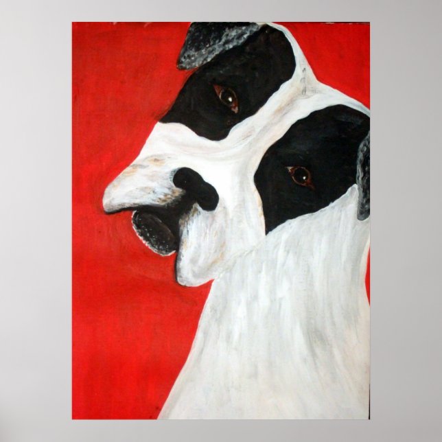 Molly Hund Poster (Framsidan)
