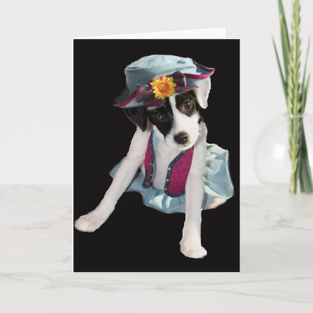 Molly Kort (Framsida)