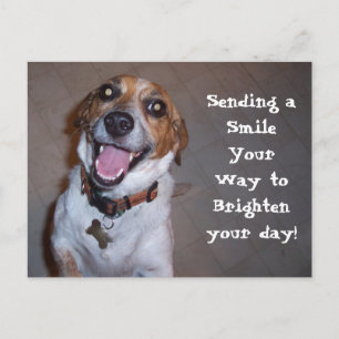 Molly Smiles! Vykort