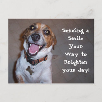 Molly Smiles! Vykort