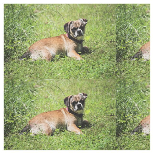 Molly Tyg (Närbild)