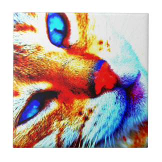 Mollykatt Kakelplatta