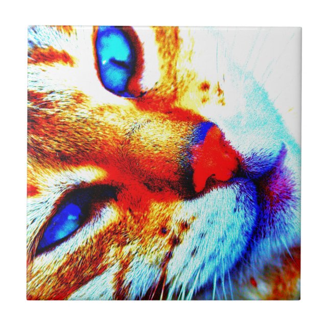 Mollykatt Kakelplatta (Framsidan)