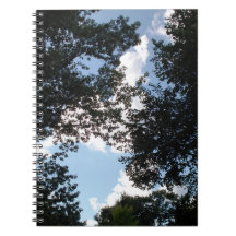 Moln bakom fotot i Träd