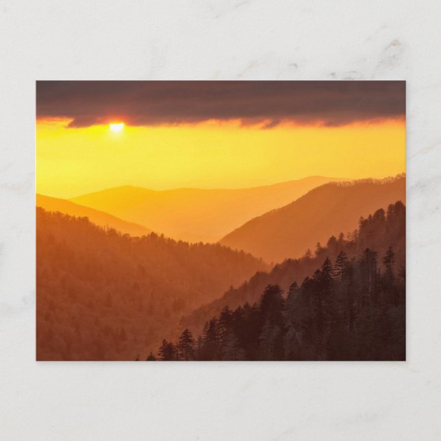 Moln fyller dal, Tennessee Vykort (Framsida)