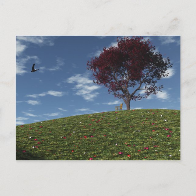 Moln seglar med vykort (Framsida)