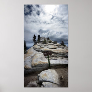 Moln vilar - Yosemite Poster