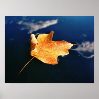 molndansare (automatisk storlek) poster