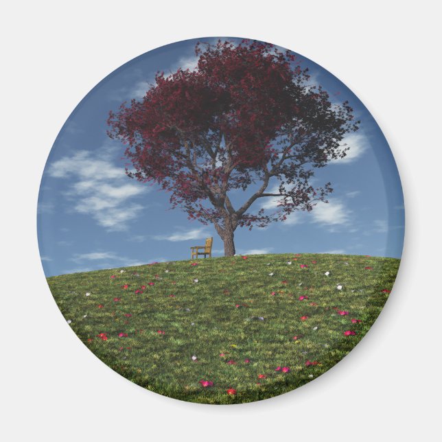 Molnen seglar efter magnet (Framsidan)