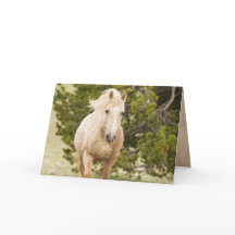 Molnet kommer upp på Vild-hälsningskortet Backe