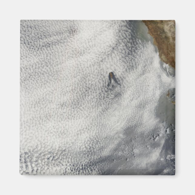 Molnportik och ära utanför Guadalupe Island Magnet (Framsidan)