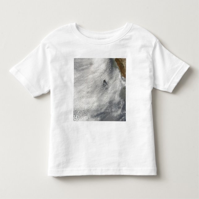 Molnportik och ära utanför Guadalupe Island Tee (Framsida)