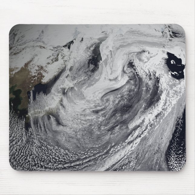 Molnsimulering av en enda dag musmatta (Framsidan)