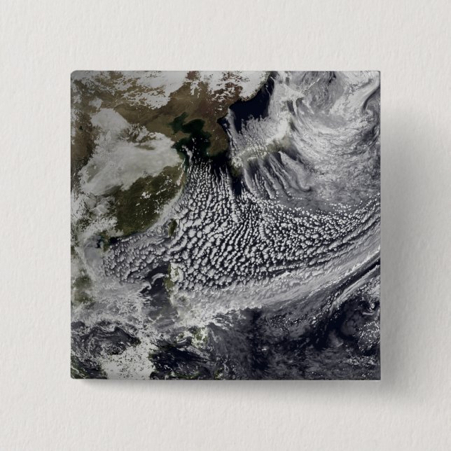 Molnsimulering av en enstaka dag 4 knapp (Framsida)