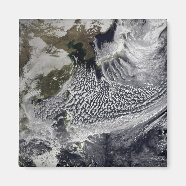 Molnsimulering av en enstaka dag 4 magnet (Framsidan)