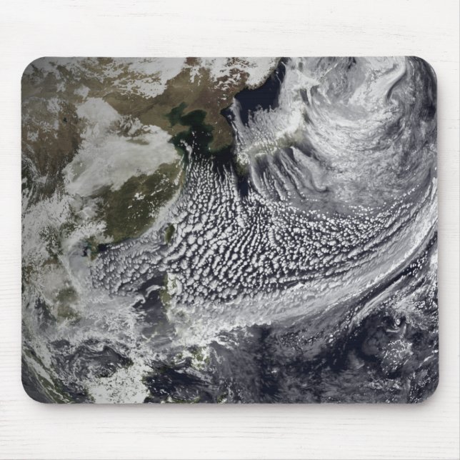 Molnsimulering av en enstaka dag 4 musmatta (Framsidan)