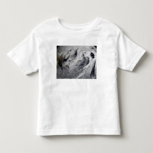 Molnsimulering av en singeldag t-shirt