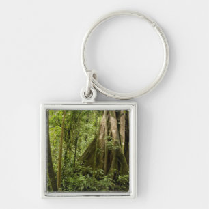 Molnskog, Bosque de Paz, Costa Rica Fyrkantig Silverfärgad Nyckelring